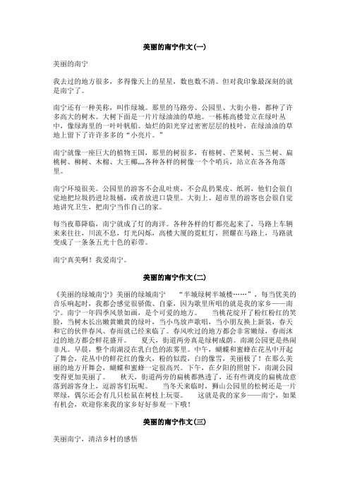 美丽的南宁作文