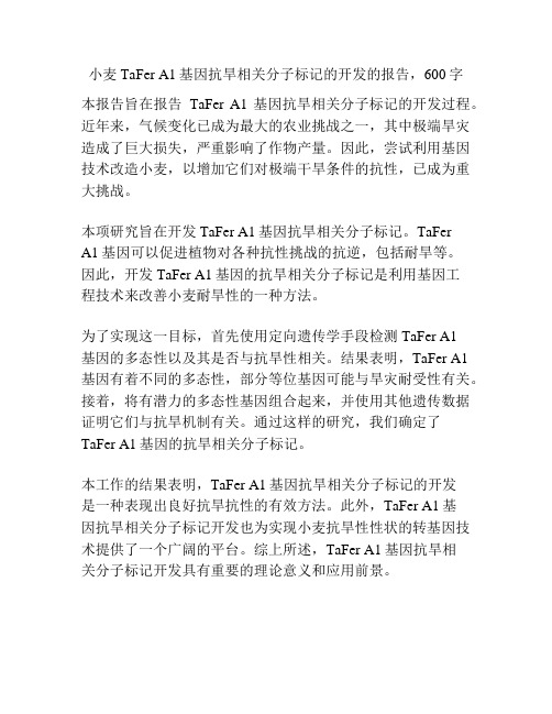 小麦 TaFer A1基因抗旱相关分子标记的开发