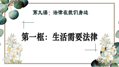 人教版《道德与法治》七年级下册 9.1 生活需要法律 课件(共44张PPT)