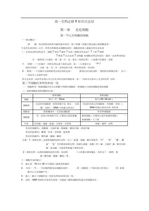 高一生物必修1复习资料大全汇总