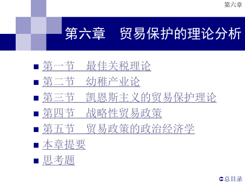 国际经济学第6章贸易保护的理论分析.ppt