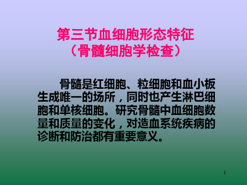 第三节骨髓细胞形态学检查1123PPT课件