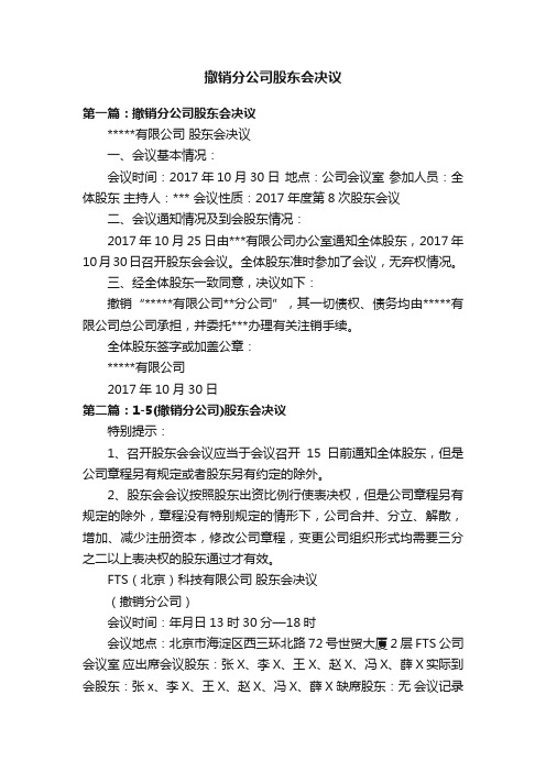 撤销分公司股东会决议