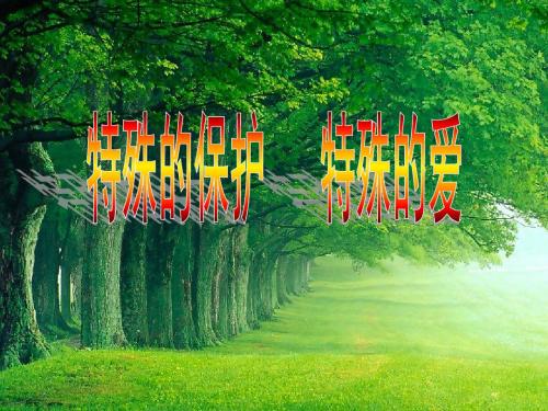 人教版七年级思品下册课件:第四单元第八课第一框《特殊的保护特殊的爱》(共18张PPT)