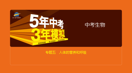 2020版中考生物复习专题五 人体的营养和呼吸