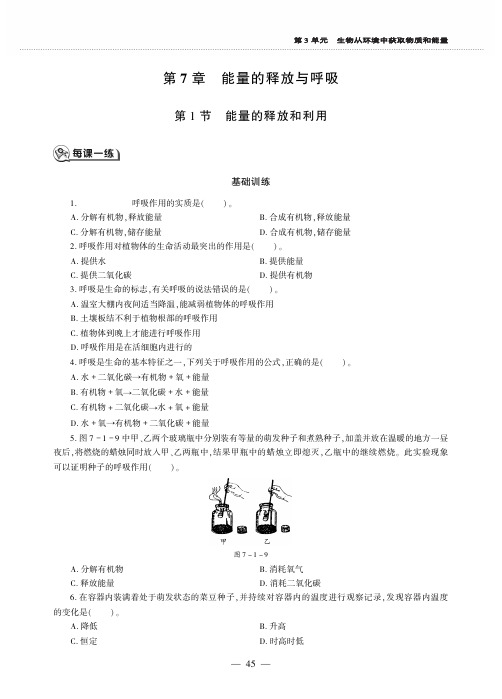 七年级生物上册第3单元生物从环境中获取的物质和能量第7章能量的释放与呼吸第1节能量的释放和利用同步作