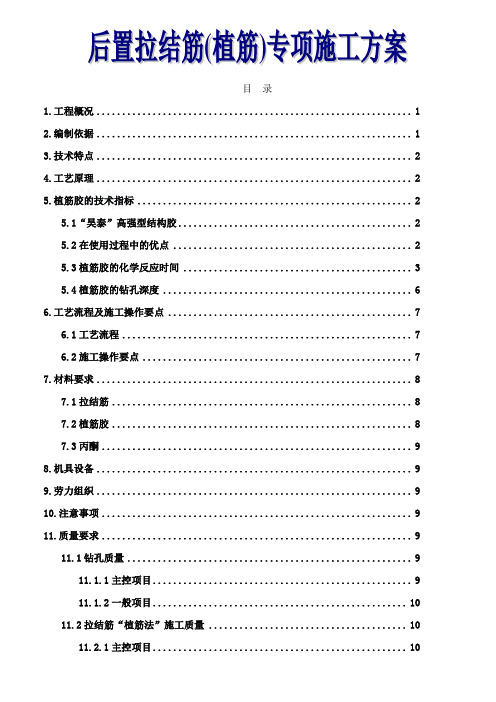 后置拉结筋(植筋)专项施工方案