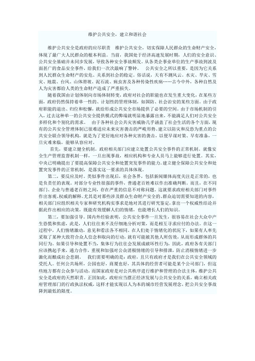 维护公共安全,建立和谐社会