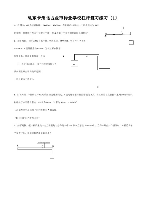 九年级物理全册 杠杆复习练习(1) 试题