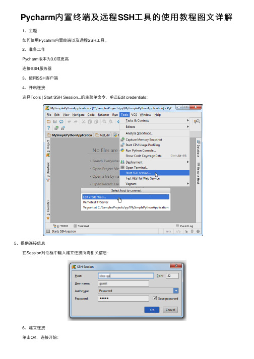 Pycharm内置终端及远程SSH工具的使用教程图文详解