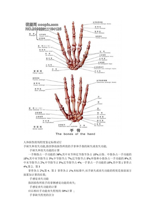 手部功能评分