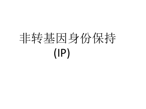 非转基因身份保持IP