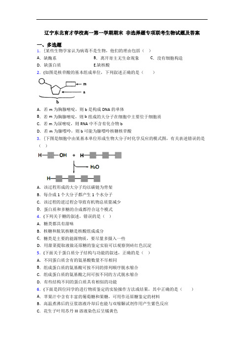 辽宁东北育才学校高一第一学期期末 非选择题专项联考生物试题及答案