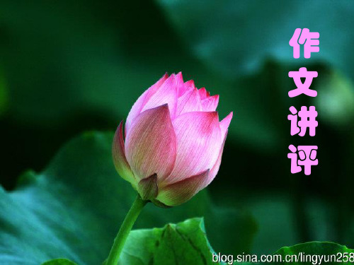 卖缸人材料作文评讲