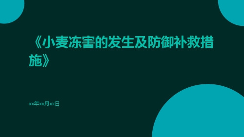 小麦冻害的发生及防御补救措施