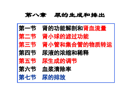 生理学第八章 尿的生成和排出