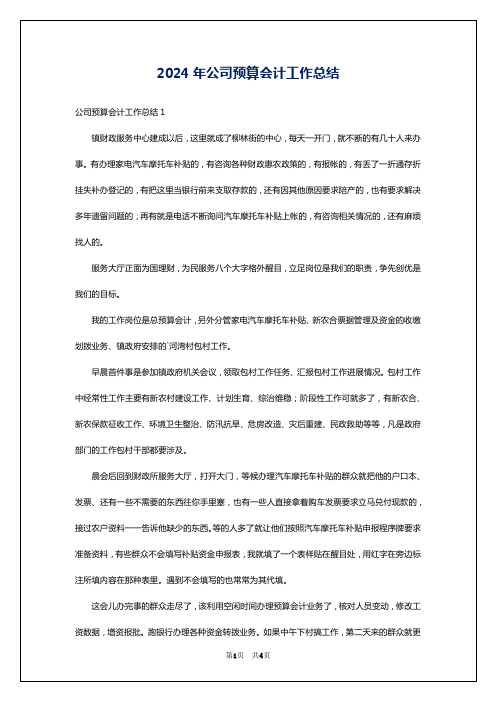 2024年公司预算会计工作总结