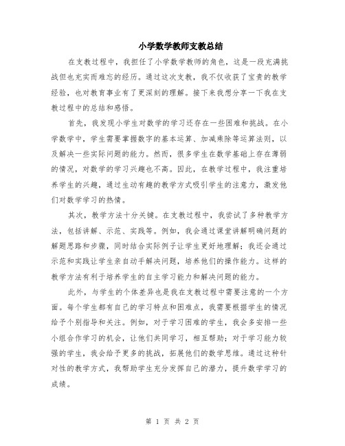 小学数学教师支教总结