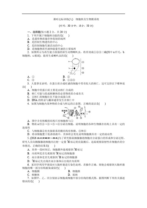 2019-2020学年高中生物苏教版必修一课时达标训练：(九) 细胞核及生物膜系统 Word版含解析