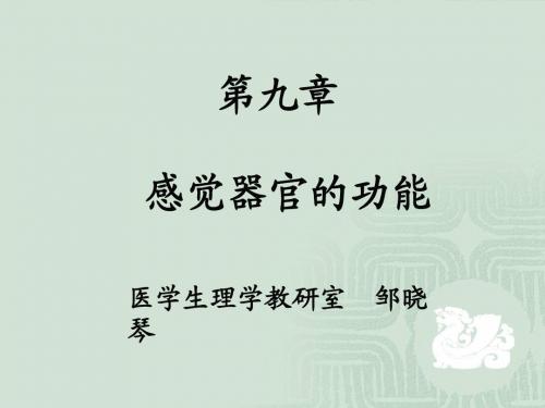 生理-感官(8学时)20131201