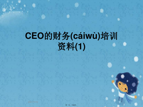 CEO的财务培训资料(1)