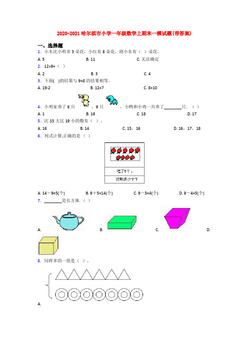 2020-2021哈尔滨市小学一年级数学上期末一模试题(带答案)