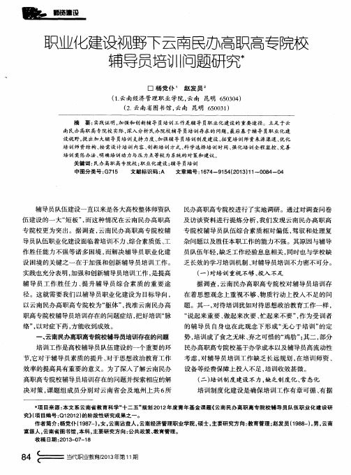 职业化建设视野下云南民办高职高专院校辅导员培训问题研究