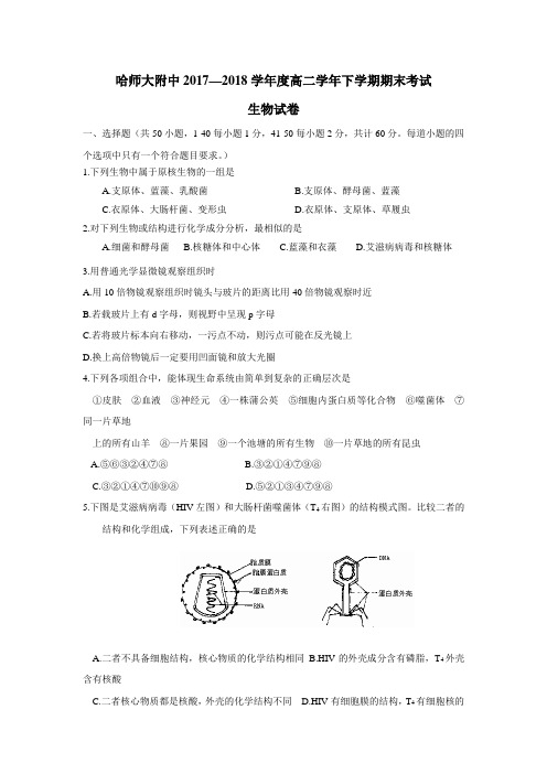 黑龙江省哈尔滨师范大学附属中学17—18学年下学期高二期末考试生物试题(附答案)$870634