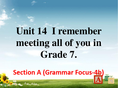 人教版九年级下册英语Unit 14 Section A(Grammar Focus-4b)课件