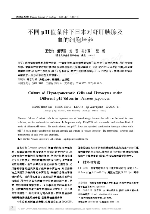 不同pH值条件下日本对虾肝胰腺及血的细胞培养