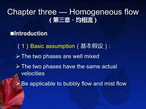 多相流基础 chapter 3-homogeneous flow