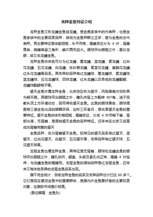 龙种金鱼特征介绍