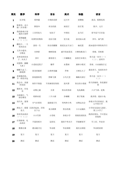 大班教学进度表 