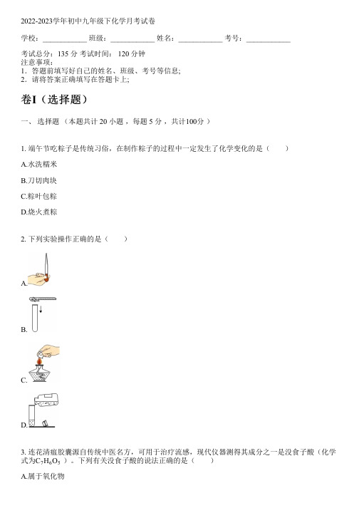 2022-2023学年人教版九年级下化学月考试卷(含解析)