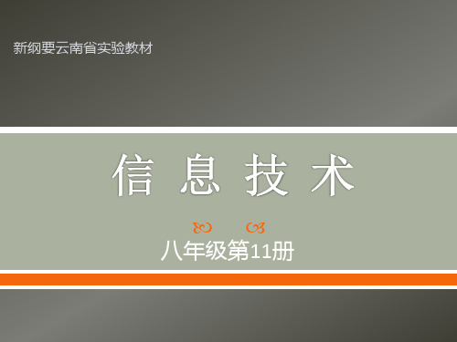 云南省实验教材八年级信息技术第11册