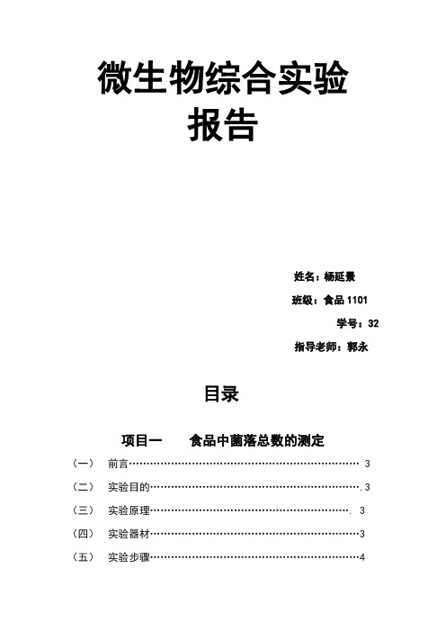 微生物综合实验报告