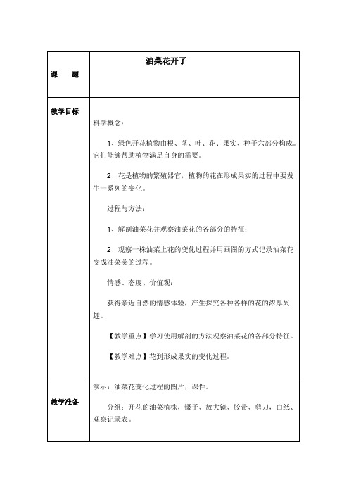 四年级下册科学教案     油菜花开了教案   教科版