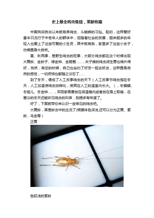 史上最全鸣虫集锦，果断收藏