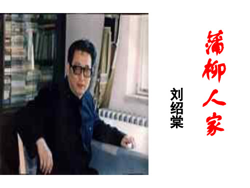 蒲柳人家(201911新)