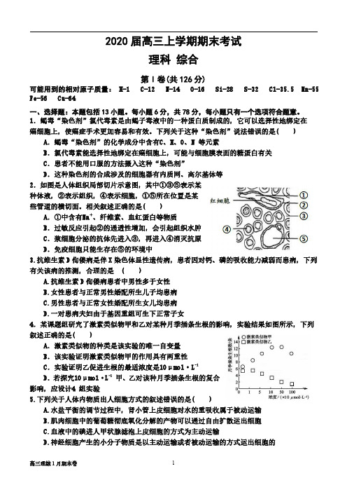 第一中学2020届高三上学期期末考试理科综合试题