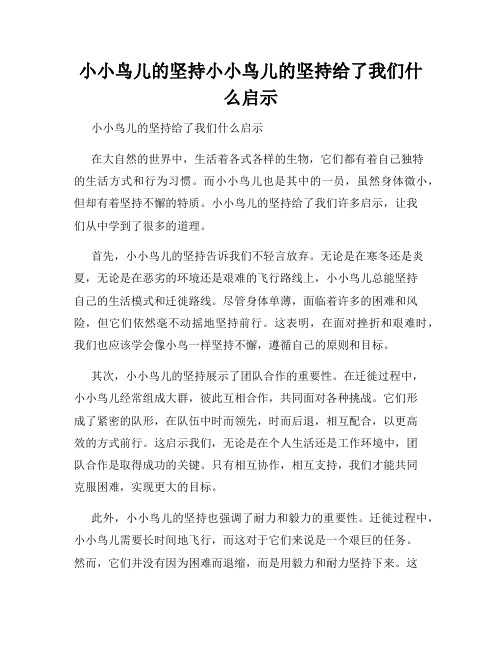 小小鸟儿的坚持小小鸟儿的坚持给了我们什么启示