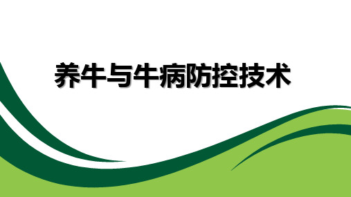 养牛与牛病防控技术教学课件：8中国荷斯坦牛体型鉴定技术