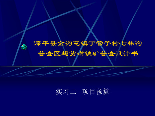 预算实习资料