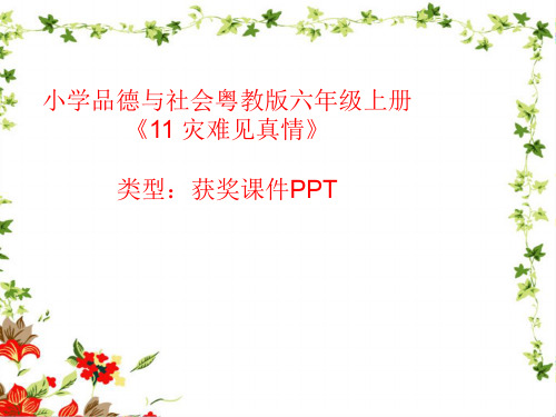 小学品德与社会粤教版六年级上册11 灾难见真情  课件PPT