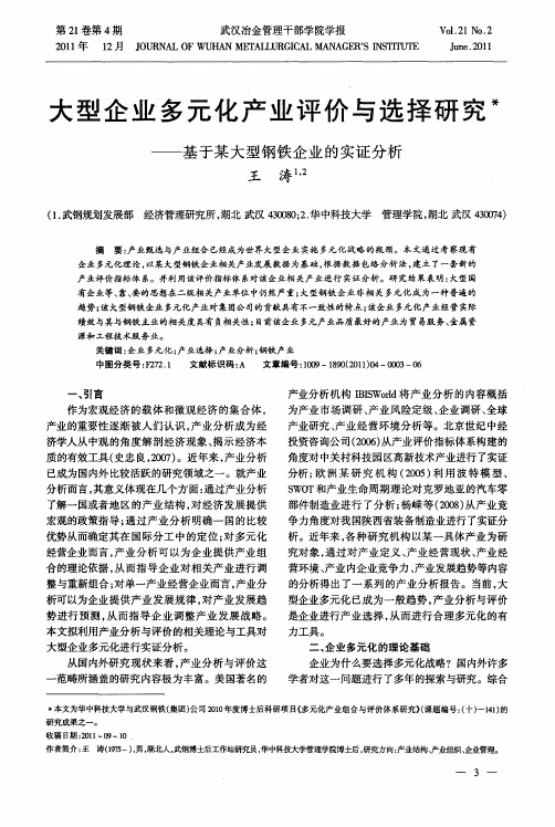 大型企业多元化产业评价与选择研究——基于某大型钢铁企业的实证分析