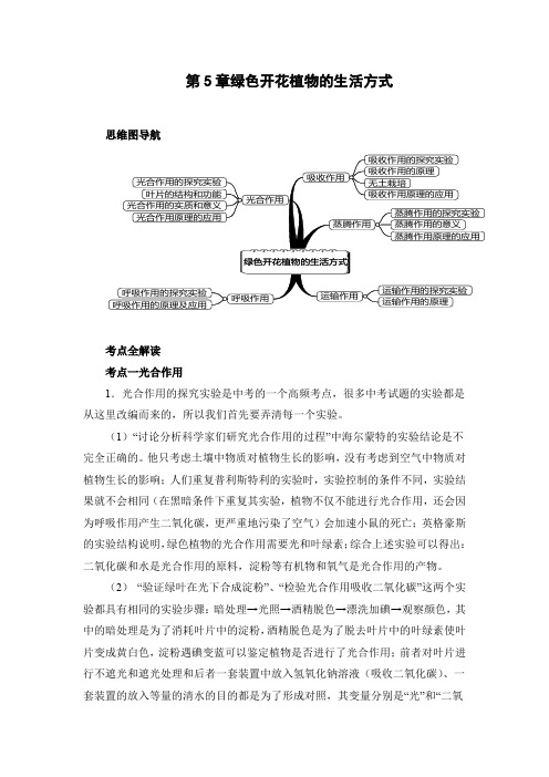 绿色开花植物的生活方式思维导图