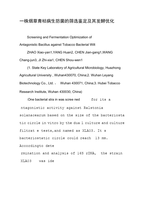一株烟草青枯病生防菌的筛选鉴定及其发酵优化