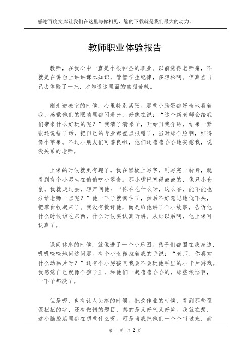 教师职业体验报告