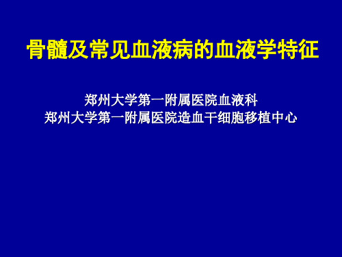 骨髓及常见血液病的血液学特征