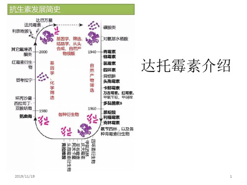 达托霉素介绍PPT课件